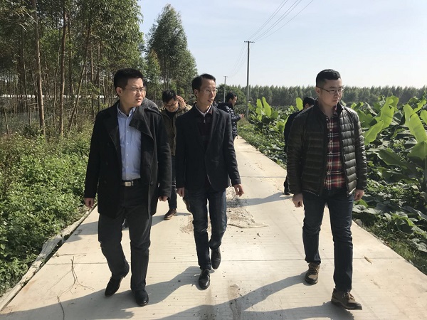 1514182348136195.jpg 61aa.jpg