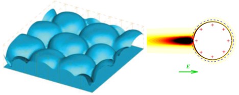 1676038958951233.jpg fig1.jpg